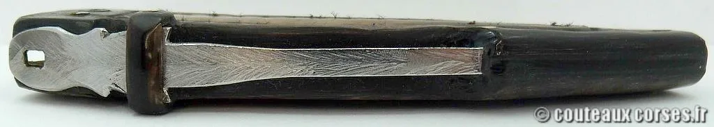 Couteau corse damas, A Vellutini 5 couteau_corse_vellutini_belier_et_damas__5