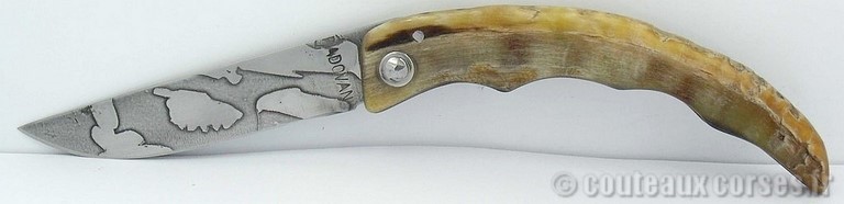 couteau-berger-corse-m-padovani-v-5