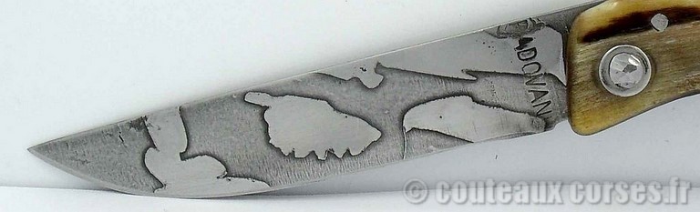 couteau-berger-corse-m-padovani-v-6