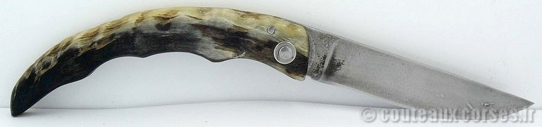 couteau-berger-corse-m-padovani-v-7
