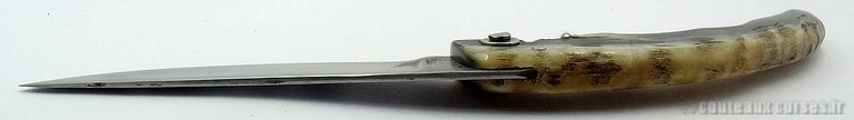 couteau-berger-corse-m-padovani-v-9