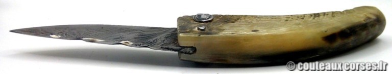 Couteau-Corse-Artisanal-Damas-PM-0707-3-7