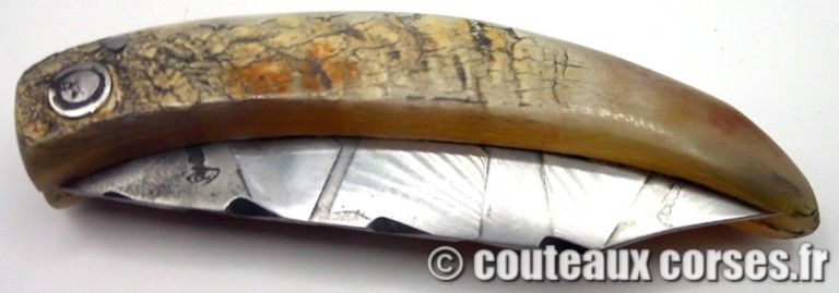 couteau-corse-artisanal-padovani-MP-1906-61-10-1 couteau-corse-artisanal-padovani-MP-1906-61-10-1