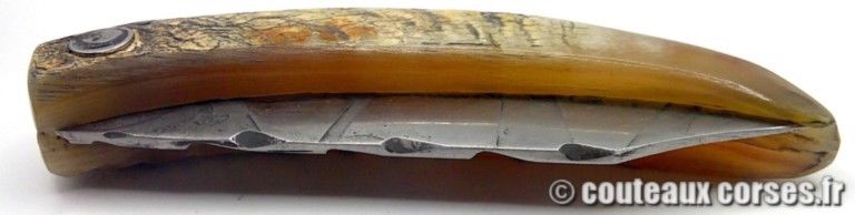 couteau-corse-artisanal-padovani-MP-1906-61-10-3 couteau-corse-artisanal-padovani-MP-1906-61-10-3