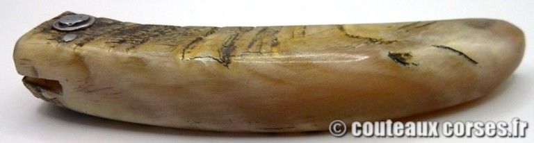 couteau-corse-artisanal-padovani-MP-1906-61-10-4 couteau-corse-artisanal-padovani-MP-1906-61-10-4