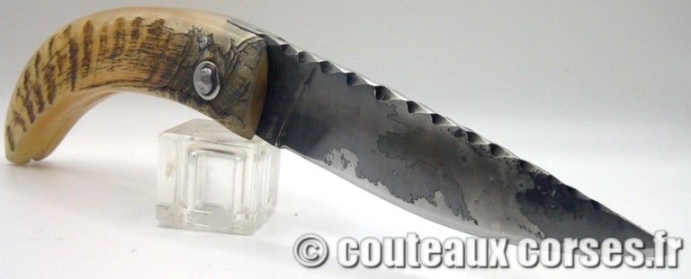 couteau-corse-artisanal-padovani-MP-1906-61-9-10 couteau-corse-artisanal-padovani-MP-1906-61-9-10