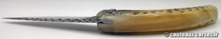couteau-corse-artisanal-padovani-MP-1906-61-9-7 couteau-corse-artisanal-padovani-MP-1906-61-9-7