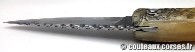 couteau-corse-artisanal-padovani-MP-1906-61-9-8 couteau-corse-artisanal-padovani-MP-1906-61-9-8