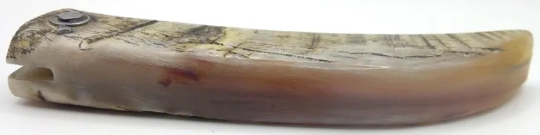 couteau-corse-artisanal-padovani-MP-2108-5-3 couteau-corse-artisanal-padovani-MP-2108-5-3