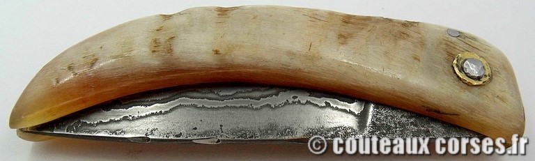 curnicciolu-damas-et-corne-de-belier-M-Padovani-1-5-2
