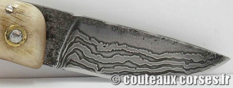 curnicciolu-damas-et-corne-de-belier-M-Padovani-1-5-7