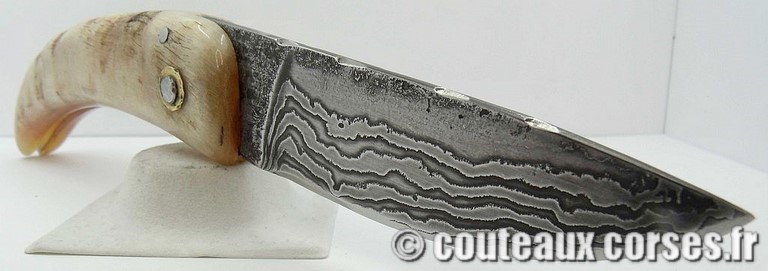 curnicciolu-damas-et-corne-de-belier-M-Padovani-1-5-8
