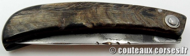 curniccioulu-carbone-et-chevre-manu-padovani-1-6-1--2