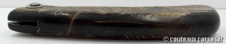 curniccioulu-carbone-et-chevre-manu-padovani-1-6-1-4