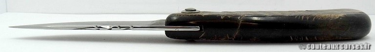 curniccioulu-carbone-et-chevre-manu-padovani-1-6-1-7
