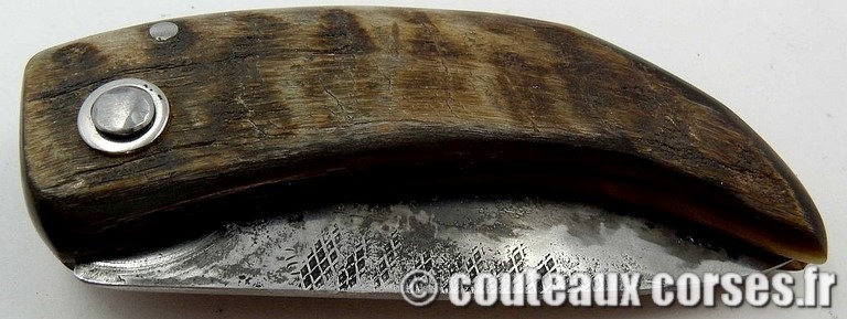 curnicciolu_corne_bouc_2-Padovani_2_1_1