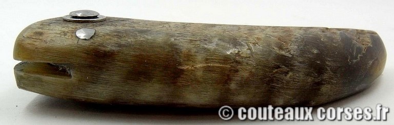 curnicciolu_corne_bouc_Padovani_2_1_4