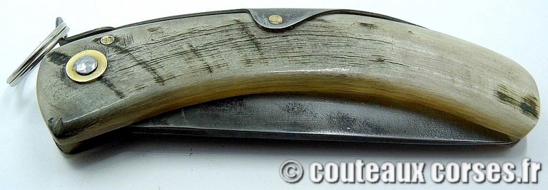 couteau-corse-cran-d-arret-anneau-xa-corne-1