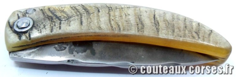 couteau corse curnicciolu Padovani u3 couteau-corse-curnicciolu-padovani-DFSSHT843-91