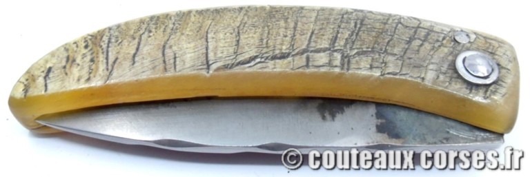 couteau corse curnicciolu Padovani u3 couteau-corse-curnicciolu-padovani-DFSSHT843-8
