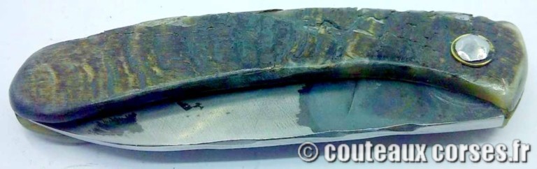 couteau corse curnicciolu Padovani u3 couteau-corse-curnicciolu-padovani-PMRTD885-8