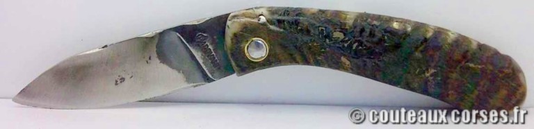 couteau corse curnicciolu Padovani u3 couteau-corse-curnicciolu-padovani-PMRTD885-5