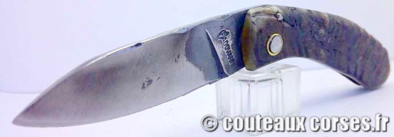 couteau corse curnicciolu Padovani u1 couteau-corse-curnicciolu-padovani-PMRTD885-9