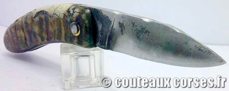 couteau corse curnicciolu Padovani u1 couteau-corse-curnicciolu-padovani-LGFJK337-510