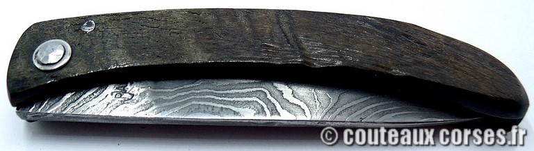 curnicciolu-damas-et-corne-de-belier-_PLKR321-padovani-3