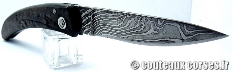 curnicciolu-damas-et-corne-de-belier-_PLKR321-padovani-1128