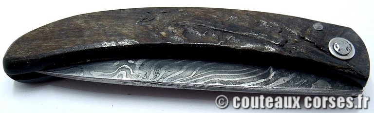 curnicciolu-damas-et-corne-de-belier-_PLKR321-padovani-12