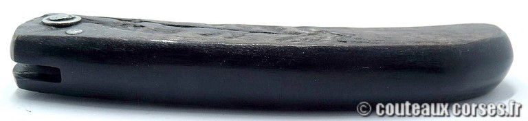 curnicciolu-damas-et-corne-de-belier-_PLKR321-padovani-12