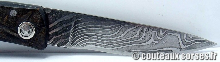 curnicciolu-damas-et-corne-de-belier-_PLKR321-padovani-11