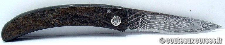 curnicciolu-damas-et-corne-de-belier-_PLKR321-padovani-18