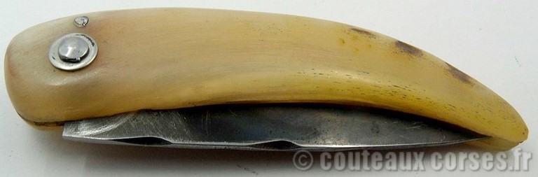 couteau-corse-curnicciolu-ab-cb1-padovani-1