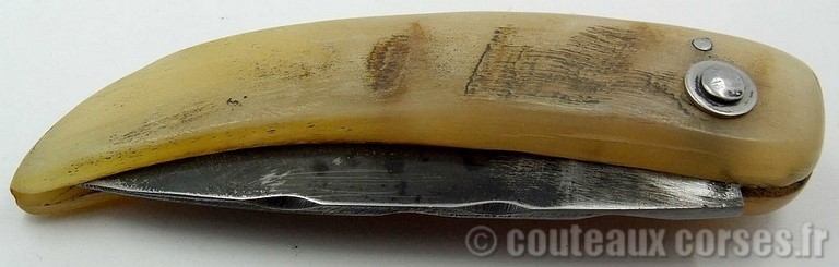 couteau-corse-curnicciolu-ab-cb1-padovani-2