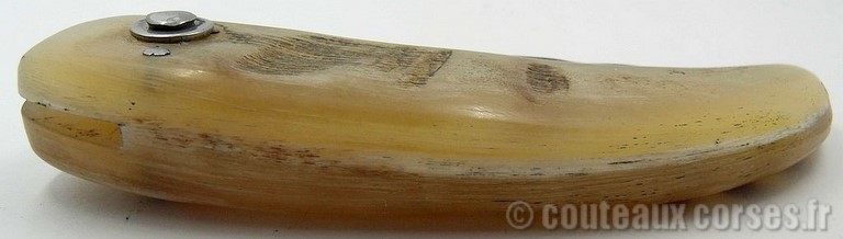 couteau-corse-curnicciolu-ab-cb1-padovani-4
