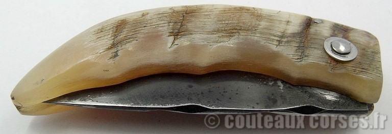 curnicciolu-corne-manu-padovani-12-1-1-2