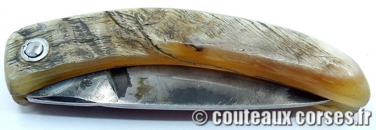 couteau corse curnicciolu Padovani u3 couteau-corse-curnicciolu-padovani-BBNRTF880-91