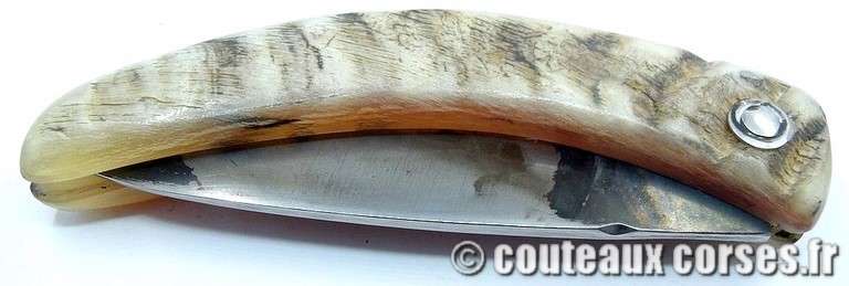 couteau corse curnicciolu Padovani u3 couteau-corse-curnicciolu-padovani-BBNRTF880-8