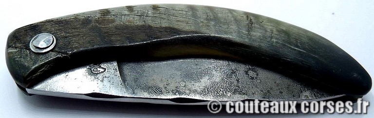 couteau corse curnicciolu Padovani u1 couteau-corse-curnicciolu-padovani-RTBN654-1
