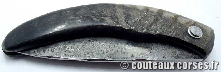 couteau corse curnicciolu Padovani u1 couteau-corse-curnicciolu-padovani-RTBN654-8