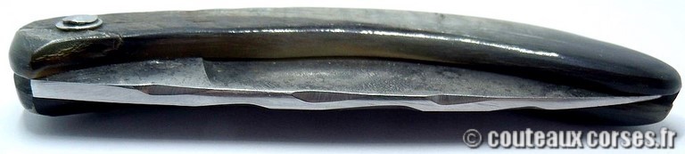 couteau corse curnicciolu Padovani u4 couteau-corse-curnicciolu-padovani-RTBN654-4
