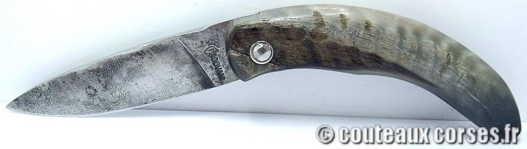 couteau corse curnicciolu Padovani u1 couteau-corse-curnicciolu-padovani-XTPM573-5
