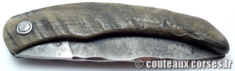 couteau corse manche olivier et lame acier carbone 1 couteau-corse-curnicciolu-GBCR709-padovani-1