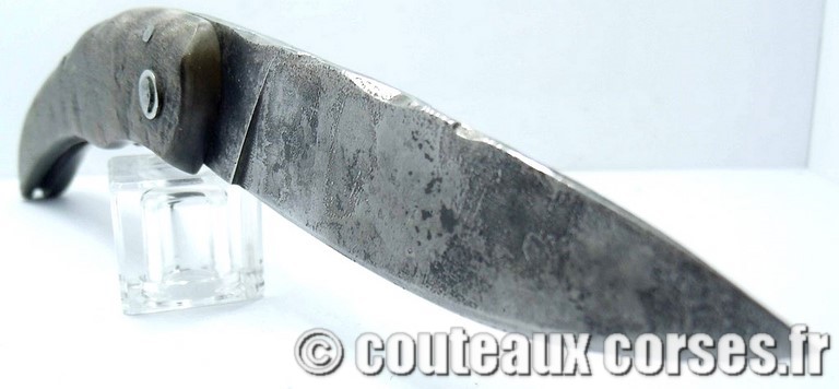 couteau corse manche olivier et lame acier carbone 10 couteau-corse-curnicciolu-GBCR709-padovani-10