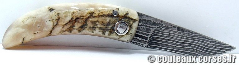 curnicciolu-damas-et-corne-de-belier-_BTRPM045-padovani-18