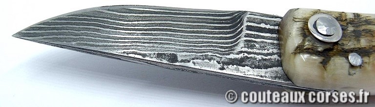 Curnicciolu corne de belier et damas king size M Padovani curnicciolu-damas-et-corne-de-belier-_BTRPM045-padovani-189