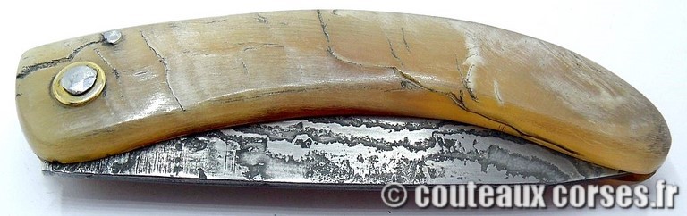curnicciolu-damas-et-corne-de-belier-_NTRPL784-padovani-3