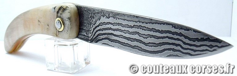 curnicciolu-damas-et-corne-de-belier-_NTRPL784-padovani-1128